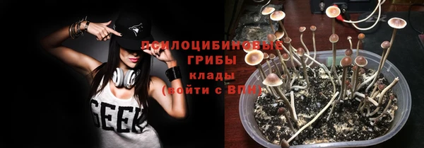 apvp Вязьма