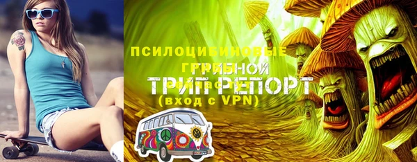 apvp Вязьма