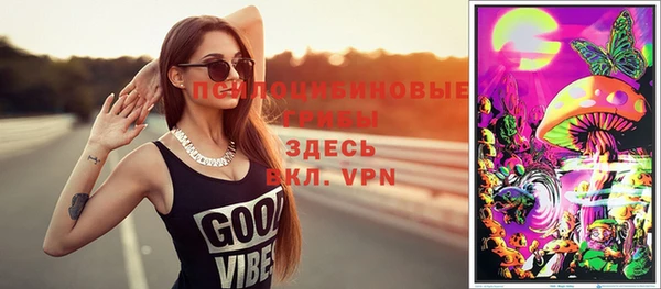 apvp Вязьма