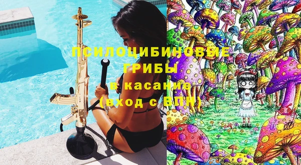 apvp Вязьма